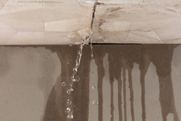 Professional Structural Drying technician working in Erie, MI